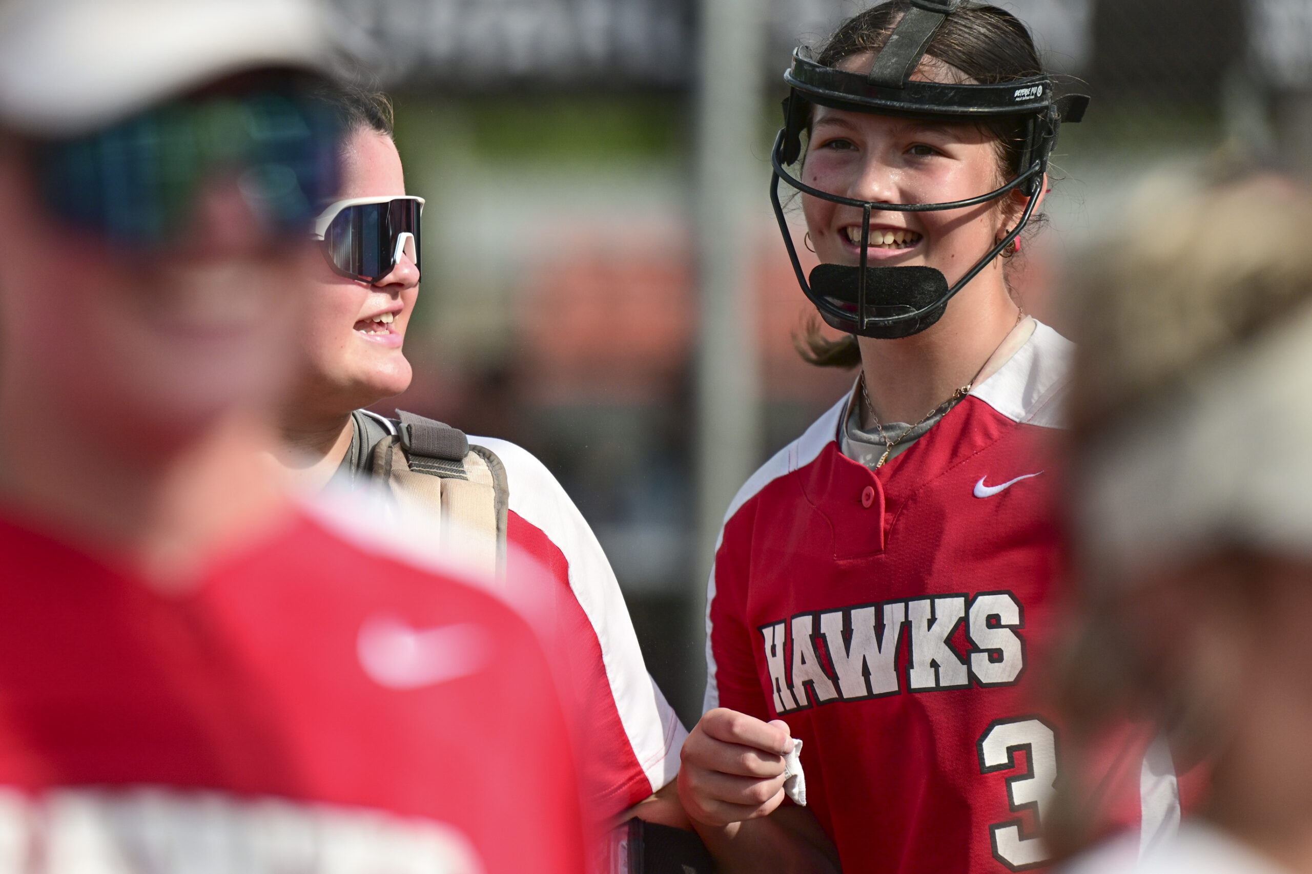 Youthful Hawks played beyond their years on road to state softball championship